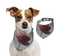 Window Sill Rose - Bandana para perro y gato, 1 unidad, accesorios para perros pequeños