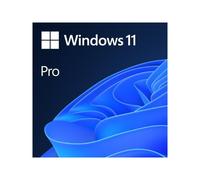 Windows 11 Pro (1 PC)