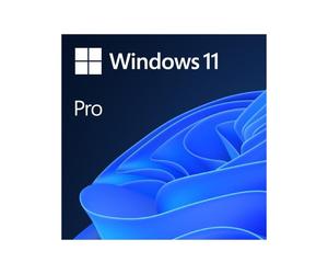 Windows 11 Pro