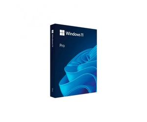 Windows 11 Pro 64 bit - Sistema operativo USB