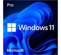 Windows 11 Pro, Software