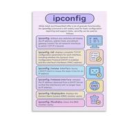 Windows Networking Poster Ipconfig Command Guide Network Configuration Troubleshooting TCPIP Reference Canvas Painting for Tech Decor(Unframed,08x12inch(20x30cm))