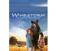 Windstorm: An Unexpected Arrival Steam Key (PC) GLOBAL