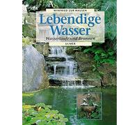 Winfried zur Hausen Lebendige Wasser: Wasserläufe und Brunnen (Tapa dura)
