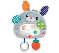 Winfun 46881 - Espejo bebé para la Cuna de Conejito/Juguetes para bebés, Regalos para bebés/con Textura Suave, Luces y Sonidos/Espejo para bebé, estimulación y afectividad