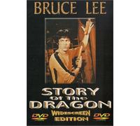 Wing Chun Big Brother [Reino Unido] [DVD]