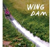 Wing Dam - Glow Ahead