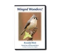 Winged Wonders! Beautiful Birds and World Class Instrumental Music