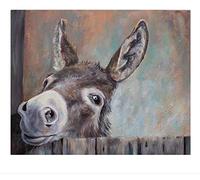 Wingkin Kit estampados de punto de cruz Burro animal 11CT lona preimpresa patrón de costura cruzada para costura kits de inicio de bordado para principiantes(40×50cm)