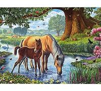 Wingkin Kits estampados de punto de cruz caballo animal 11ct Lona Preimpresa patrón de costura cruzada para costura kits de inicio de bordado para principiantes(40×50cm)