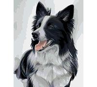 Wingkin Kits estampados de punto de cruz Perro Border Collie 11ct Lona Preimpresa patrón de costura cruzada para costura kits de inicio de bordado para principiantes(40×50cm)