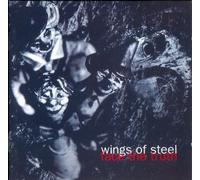 Wings of Steel - Face The Truth [Import]