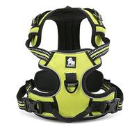 WINHYEPET Arnés para Perros True Love, sin tirón, con Clip Frontal, arneses para Coche, Ajustables con asa, Cuatro Puntos de Ajuste, Material Oxford Acolchado Reflectante, TLH5651 (Amarillo neón, L)