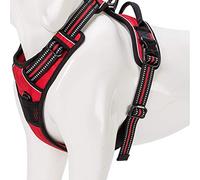 WINHYEPET Arnés para Perros True Love, sin tirón, con Clip Frontal, arneses para Coche, Ajustables con asa, Cuatro Puntos de Ajuste, Material Oxford Acolchado Reflectante, TLH5651 (Rojo, M)