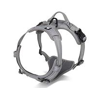 WINHYEPET Arnés para Perros True Love, sin tirón, con Clip Frontal, arneses para Coche, Ajustables con asa, Cuatro Puntos de Ajuste, Material Oxford Acolchado Reflectante, TLH5651 (Gris, XL)