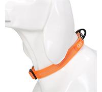 Winhyepet Collar para Perro, 4 Colores, 3 m, Reflectante, para Perros pequeños, medianos, Grandes, Cachorros Ajustables, Acolchado, Suave Nailon, cómodo Cuello