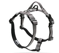 WINHYEPET True Love - Arnés de perro tipo Y reflectante de seguridad suave de tela conveniente ajustable y duradero para mascotas chaleco aplicable a todas las razas TLH6171 (gris, S)