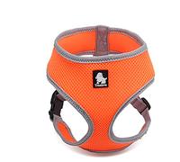 WINHYEPET True Love - Arnés para perro, tela de malla suave, cómodo ventilación, botón ajustable que se puede utilizar con la correa para caminar, chaleco para mascotas