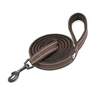 WINHYEPET True Love Correa para Perro Nylon Reflectante Mango cómodo Plomo Entrenamiento para Cachorros Cuerda para Caminar Control fácil, 110 cm de Longitud TLL2111