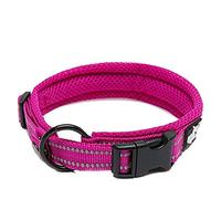 WINHYEPET True Love Dog Collar Reflectante Sandwich Forro Nylon Cincha Cómodo y Seguro Hebilla Ajustable conveniente utilizado para caminar para Samll/Medio/Grande anillo de cuello TLC5011(Fushcia, M)