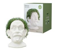 Winkee - Chia Genie I Cabeza de Einstein como animal de plantación de Chia I Busto de cerámica para cultivar semillas de chía I Cuenco de cultivo en forma de cabeza divertida I Kit de inicio de