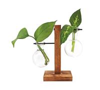 Winkee - Hydro Vases Flower Vase NUEVO