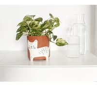 Winkee - Maceta de cerámica con Forma de Gato de Animales | Jarrón de Flores de cerámica para decoración Creativa - Moderno y Elegante | jarrón de Flores con Estilo