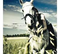 The Winnebago Orchestra Born in the Sun (CD) Album (Importación USA)