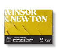 Winsor & Newton 2190615 Pintura Acrílica Galeria - Estuche de 10x12ml Los esenciales del acrílico (incluye 2 Pinceles, Bloc y Paleta)