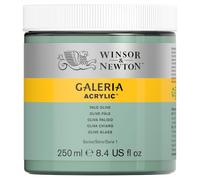 Winsor & Newton Acrílico Galeria 250 ml Verde Oliva Pálido