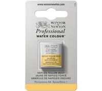 Winsor & Newton Acuarela Profesional - Pintura de Acuarela, Alta Luminosidad, Resistente a la Luz, Calidad de Archivo, 1/2 Godet, Color Amarillo De Nápoles Oscuro