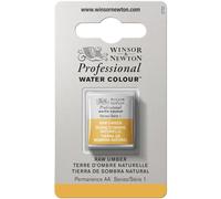 Winsor & Newton Acuarela Profesional - Pintura de Acuarela, Alta Luminosidad, Resistente a la Luz, Calidad de Archivo, 1/2 Godet, Color Tierra De Sombra Natural