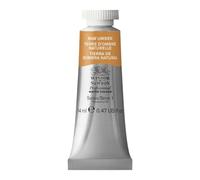 Winsor & Newton Acuarela Profesional - Pintura de Acuarela, Alta Luminosidad, Resistente a la Luz, Calidad de Archivo, Tubo de 14 ML, Color Tierra De Sombra Natural
