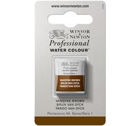 Winsor & Newton Acuarela Profesional - Pintura de Acuarela, Alta Luminosidad, Resistente a la Luz, Calidad de Archivo, 1/2 Godet, Color Pardo Van Dyck