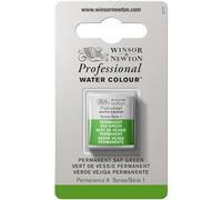 Winsor & Newton Acuarela Profesional - Pintura de Acuarela, Alta Luminosidad, Resistente a la Luz, Calidad de Archivo, 1/2 Godet, Color Verde Vejiga Permanente