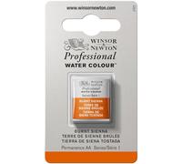 Winsor & Newton Acuarela Profesional - Pintura de Acuarela, Alta Luminosidad, Resistente a la Luz, Calidad de Archivo, 1/2 Godet, Color Tierra De Siena Tostada