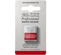 Winsor & Newton Acuarela Profesional - Pintura de Acuarela, Alta Luminosidad, Resistente a la Luz, Calidad de Archivo, 1/2 Godet, Color Marrón De Perileno