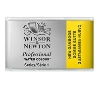 Winsor & Newton Acuarela Profesional - Pintura de Acuarela, Alta Luminosidad, Resistente a la Luz, Calidad de Archivo, Godet, Color Gutagamba Nuevo