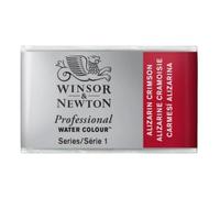 Winsor & Newton Acuarela Profesional - Pintura de Acuarela, Alta Luminosidad, Resistente a la Luz, Calidad de Archivo, Godet, Color Carmesí Alizarina Permanente
