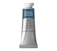 Winsor & Newton Acuarela Profesional - Pintura de Acuarela, Alta Luminosidad, Resistente a la Luz, Calidad de Archivo, Tubo de 14 ML, Color Gris De Payne