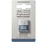 Winsor & Newton Acuarela Profesional - Pintura de Acuarela, Alta Luminosidad, Resistente a la Luz, Calidad de Archivo, 1/2 Godet, Color Gris De Payne