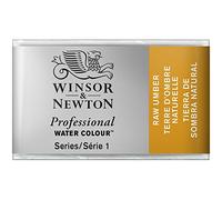 Winsor & Newton Acuarela Profesional - Pintura de Acuarela, Alta Luminosidad, Resistente a la Luz, Calidad de Archivo, Godet, Color Tierra De Sombra Natural