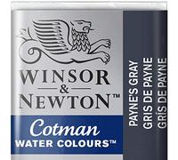 Winsor & Newton Cotman Acuarela En Pastilla, Grís De Payne, 1,9x1,6x1,1 cm