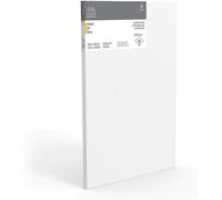 Winsor & Newton Marco Entrelazada Professional Lino 6204011-40 x 60 X 2,1CM