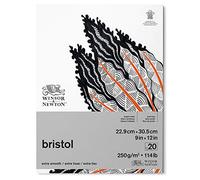 Winsor & Newton Papel Bristol, Color Blanco Brillante, 22,9 x 30,5cm