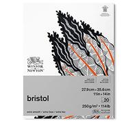 Winsor & Newton Papel Bristol, Color Blanco Brillante, 27,9 x 35,6cm