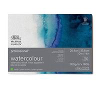 Winsor & Newton Papel de Acuarela Profesional, Grano Grueso, 300gr, 100% Algodón, Blanco Natural, Libre de Ácidos, 25,4X35,6CM, Bloc Encolado en los 4 Lados, 20 Hojas