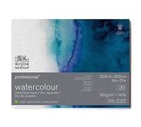 Winsor & Newton Papel de Acuarela Profesional, Grano Grueso, 300gr, 100% Algodón, Blanco Natural, Libre de Ácidos, 22,9X30,5CM, Bloc Encolado en los 4 Lados, 20 Hojas