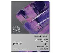 Winsor & Newton Papel pastel(22,9 x 30,5 cm), Tonos Grises, 22,9 x 30,5cm