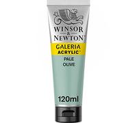 Winsor & Newton - Pintura Acrílica , 120 ml, Verde (Pale Olive)